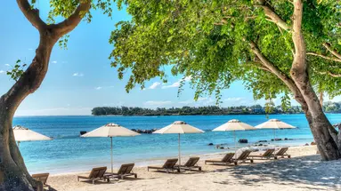 THE WESTIN TURTLE BAY RESORT & SPA