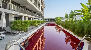 THE X BELEK