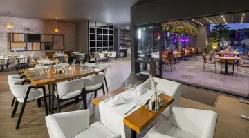 THE X BELEK