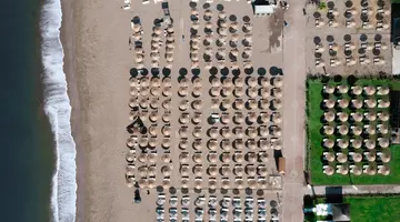 THE X BELEK