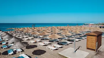 THE X BELEK