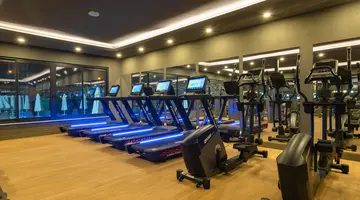 THE X BELEK