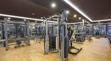 THE X BELEK