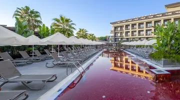 THE X BELEK