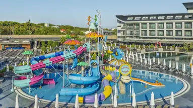 THE X BELEK