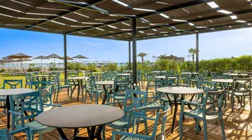 THE X BELEK