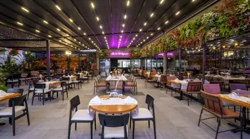 THE X BELEK