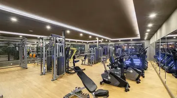 THE X BELEK