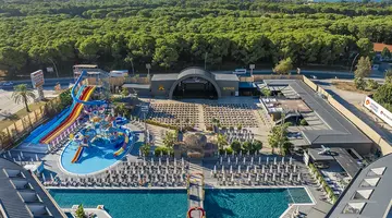 THE X BELEK
