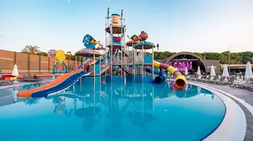 THE X BELEK