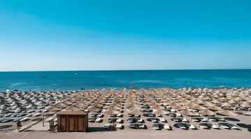 THE X BELEK