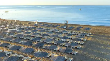 THE X BELEK