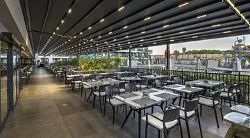 THE X BELEK