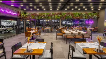 THE X BELEK