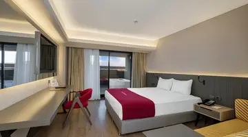 THE X BELEK