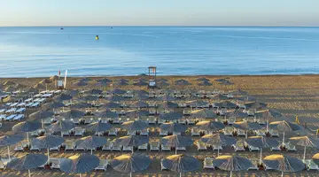 THE X BELEK