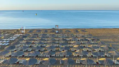 THE X BELEK