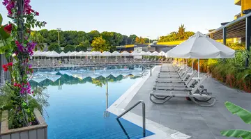 THE X BELEK