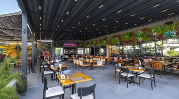 THE X BELEK