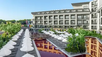 THE X BELEK