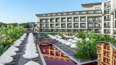 THE X BELEK