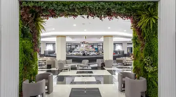 THE X BELEK