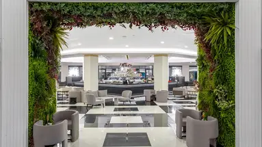 THE X BELEK