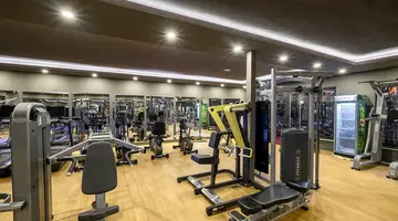 THE X BELEK