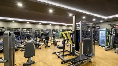 THE X BELEK