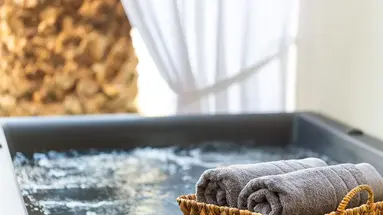 THEARTEMIS PALACE HOTEL