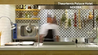 THEARTEMIS PALACE HOTEL