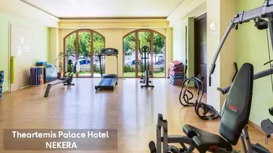 THEARTEMIS PALACE HOTEL
