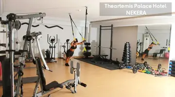 THEARTEMIS PALACE HOTEL