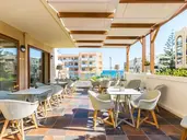 THEARTEMIS PALACE