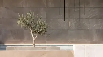 Theartemis Palace