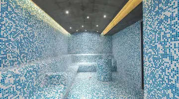 Theartemis Palace