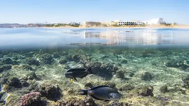 THREE CORNERS EQUINOX BEACH RESORT