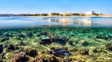 Three Corners Equinox Beach Resort
