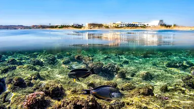 Three Corners Equinox Beach Resort