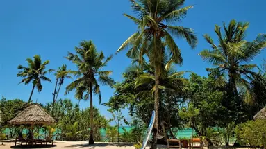 Tikitam Palms Boutique Hotel
