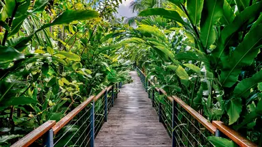 Tilar Siro Resort