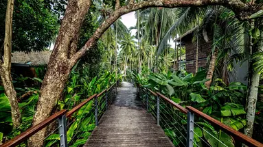 Tilar Siro Resort