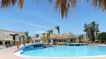 Time Coral Nuweiba