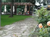 Tintyava