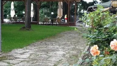 Tintyava