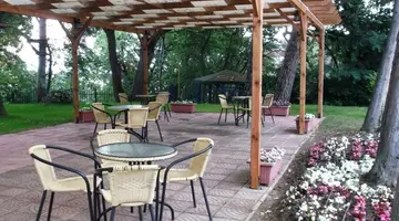 TINTYAVA