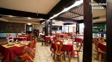 Topaz Hotel