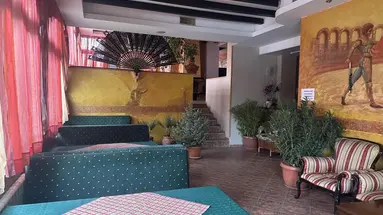 Toro Negro