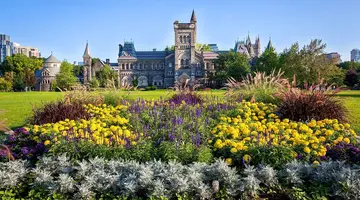Toronto Z Widokiem Na Niagarę