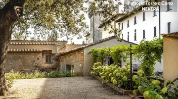 TORRE A CONA WINE ESTATE